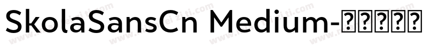 SkolaSansCn Medium字体转换